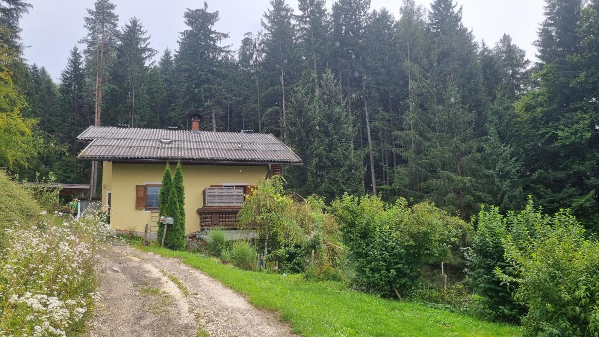 Fridas Place - Der Blick Ueber Ganz Villach - 160 M2 Ferienoase - Ganzes Haus Bis Zu 8 Personen Extérieur photo